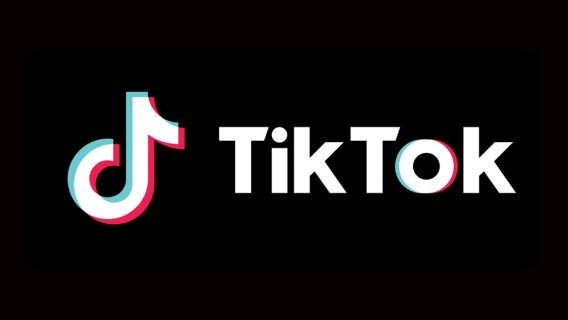 Just how to attract a pet in Tik Tok