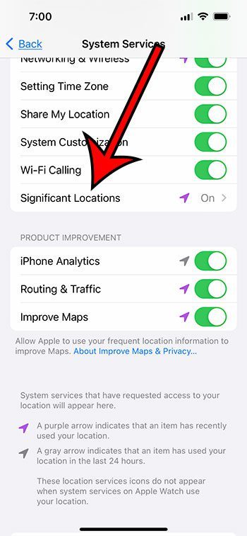 How to check location history on iPhone
